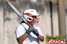 Southern Dolphin batter gets set at the plate. (Photo by Michael Blas)