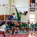 The JFK Islanders defeated the GW Geckos in straight sets to become the 20th Annual Dr. Sheih's Girls Preseason Volleyball Tournament Champions. (Photo by Michael Blas)