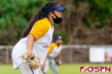 The Southern Dolphins took on the Rotary Railes in the APL Women's Fastpitch Softball League Saturday afternoon at Piti Field. (Photo by Michael Blas)