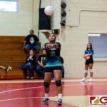 High school girls volleyball teams showed out today at St. John's to compete in Dr. Sheih's Preseason Volleyball Tournament. (Photo by Michael Blas)