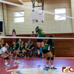 The JFK Islanders defeated the GW Geckos in straight sets to become the 20th Annual Dr. Sheih's Girls Preseason Volleyball Tournament Champions. (Photo by Michael Blas)